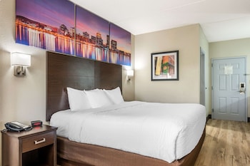 Standard Room, 1 King Bed, Non Smoking
