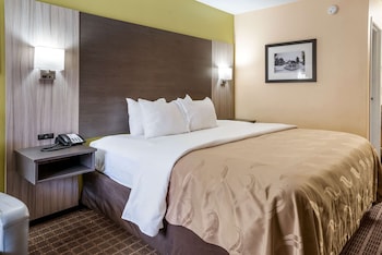 Standard Room, 1 King Bed, Non Smoking