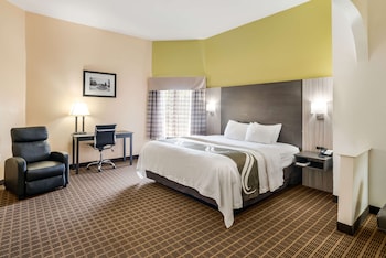Room, 1 King Bed with Sofa bed, Non Smoking