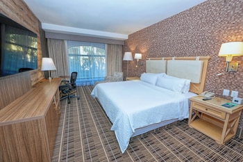 Standard Room, 1 King Bed, Accessible Bathtub