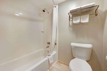 Standard Room, 1 King Bed, Non Smoking, Refrigerator & Microwave (Larger Room;with Sofabed)