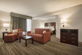 Standard Room, 1 King Bed, Non Smoking, Refrigerator & Microwave (Larger Room;with Sofabed)