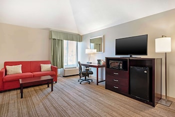 Standard Room, 1 King Bed, Non Smoking, Refrigerator & Microwave (Larger Room;with Sofabed)