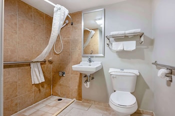 Standard Room, 1 King Bed, Accessible, Non Smoking