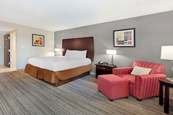 Standard Room, 1 King Bed, Accessible, Non Smoking