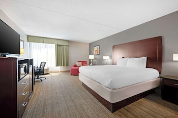 Standard Room, 1 King Bed, Non Smoking, Refrigerator & Microwave
