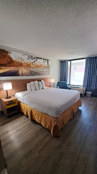 Standard Room, 1 King Bed, Non Smoking