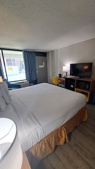 Standard Room, 1 King Bed, Non Smoking
