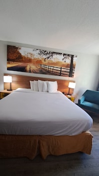 Standard Room, 1 King Bed, Non Smoking