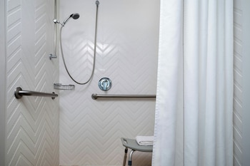 Room, 1 King Bed (Mobility/Hearing Access, Roll-in Shwr)