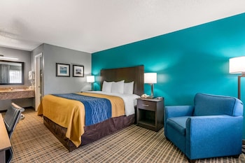 Standard Room, 1 King Bed, Non Smoking