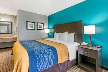 Standard Room, 1 King Bed, Non Smoking