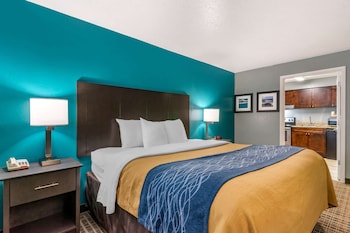 Standard Room, 1 King Bed, Non Smoking