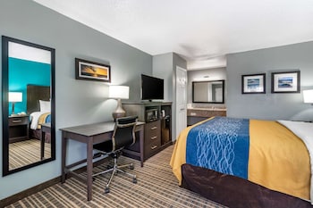 Standard Room, 1 King Bed, Non Smoking