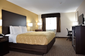 Standard Room, 1 King Bed, Non Smoking