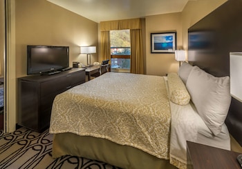 Suite, 1 King Bed, Non Smoking, Refrigerator & Microwave (with Sofabed)