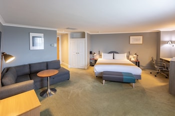 Suite, 1 King Bed with Sofa bed