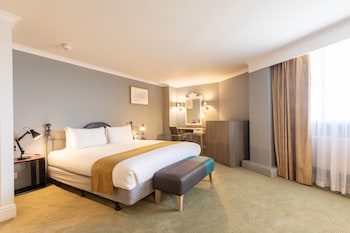 Suite, 1 King Bed with Sofa bed