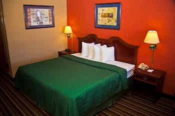 Room, 1 King Bed, Accessible, Non Smoking
