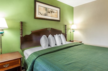 Room, 1 King Bed, Accessible, Non Smoking