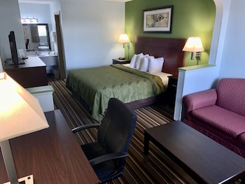 Suite, 1 King Bed, Smoking