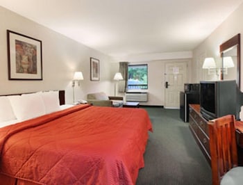Suite, 1 King Bed, Non Smoking (One-Bedroom)
