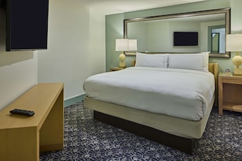 Suite, 1 King Bed