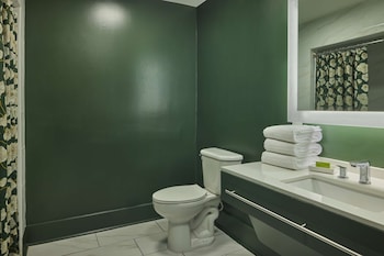 Room, 1 King Bed, Accessible (Roll In Shower)