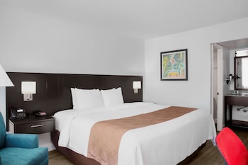 Room, 1 King Bed, Accessible, Non Smoking (Upgrade, Roll-In Shower)