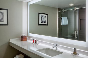 Room, 1 King Bed with Sofa bed (Hearing Accessible)