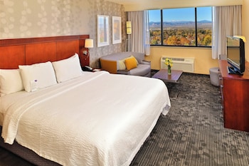 Room, 1 King Bed with Sofa bed (Mountain View)