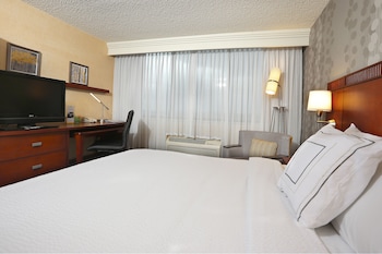 Room, 1 King Bed with Sofa bed