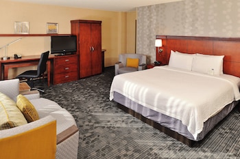 Room, 1 King Bed with Sofa bed (Mountain View)