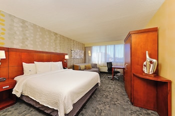 Room, 1 King Bed with Sofa bed (Mobility Accessible, Roll-in Shower)