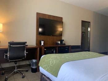 Suite, 1 Queen Bed with Sofa bed, Accessible, Non Smoking (Accessible Tub)
