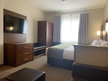 Suite, 1 King Bed, Non Smoking