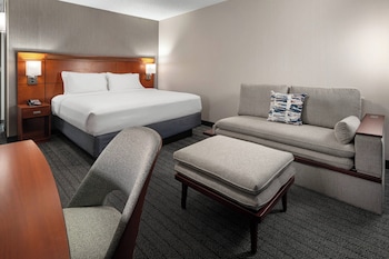 Room, 1 King Bed with Sofa bed (Hearing Accessible)