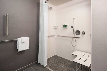 Room, 1 King Bed with Sofa bed (Mobility/Hearing Access, Roll-In Shwr)