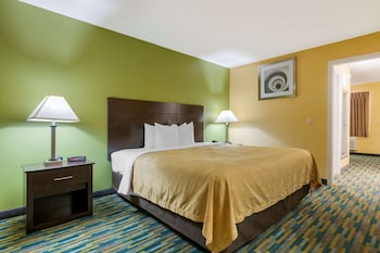 1 King Bed, Suite, Nonsmoking