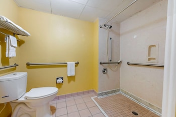 Suite, 1 King Bed, Accessible, Non Smoking