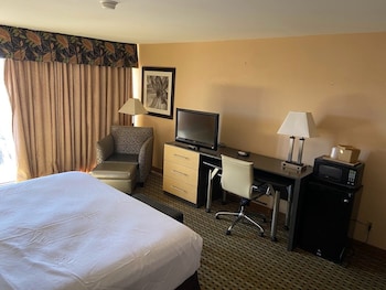 Standard Room, 1 King Bed, Non Smoking