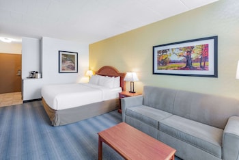 Room, 1 Queen Bed, Accessible