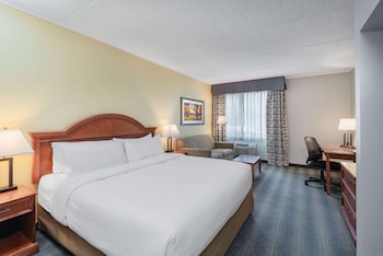 Room, 1 King Bed with Sofa bed (Pull Out Sofa)