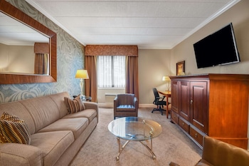 Suite, 1 King Bed with Sofa bed
