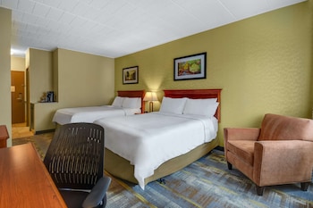 Room, 2 Queen Beds, Non Smoking (Dark Room, Pet Friendly)
