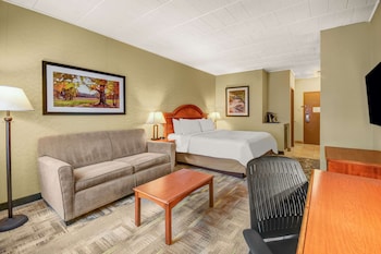 Room, 1 Queen Bed, Accessible