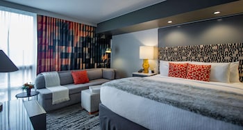 Standard Room, 1 King Bed, Non Smoking (Walk-in Shower;with Sofabed)