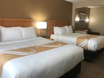 Efficiency, Suite, 1 King Bed with Sofa bed