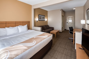Efficiency, Suite, 1 King Bed with Sofa bed
