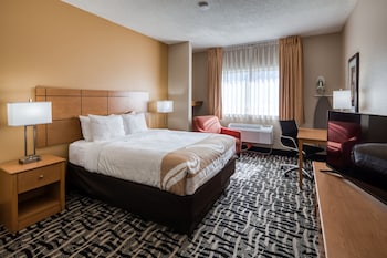 Room, 1 Queen Bed, Accessible, Non Smoking (Roll-In Shower)